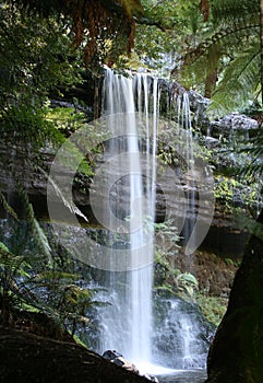 Russell Falls, Rain Forest Waterfall