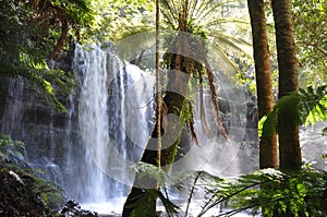 Russell Falls, Tasmania