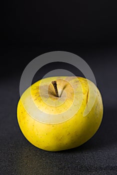 Russet apple on dark background