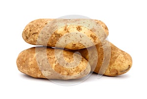 Russet potato
