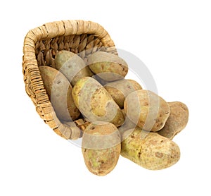 Russet potatoes spilling from basket