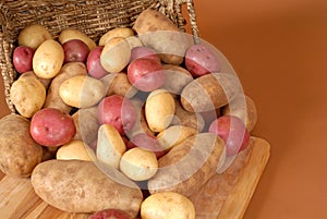 Russet, red and white potatoes spilling out of a basket onto cut photo