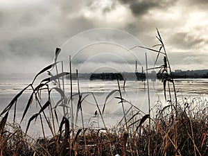 Russia - Arkhangelsk - frozen suburb lake at winter foggy day - closeup rushes