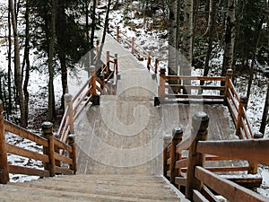 Russia - Arkhangelsk - suburb forest park in winter - wooden downhill stairway