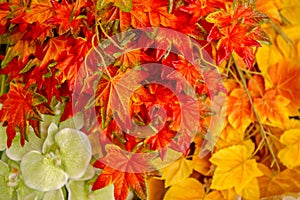 Russia, Autumn, Leaf, Backgrounds, November