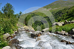 Russia, the Caucasian biosphere reserve, river Imeretinka in summer