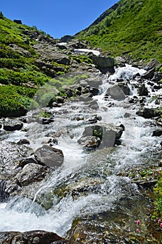 Russia, the Caucasian biosphere reserve, river Imeretinka in summer