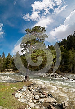 Russia. Caucasus. Zelenchuk river.