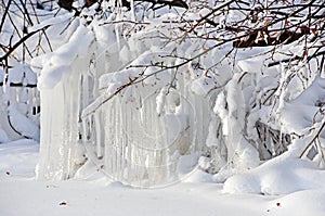 Russia, Chelyabinsk region. Icicles on trees on the shore of lake Uvildy in winter photo