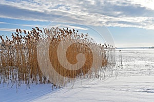 Russia, Chelyabinsk region. Nature monument - lake Uvildy in winter innfrosty day photo