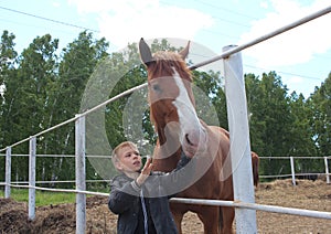 Russia, a child boy stroking horses on a farm children and animals