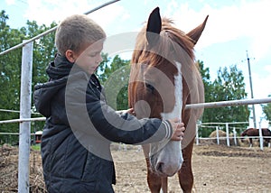 Russia,  a child boy stroking horses on a farm children and animals