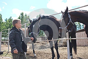 Russia,  a child boy stroking horses on a farm children and animals