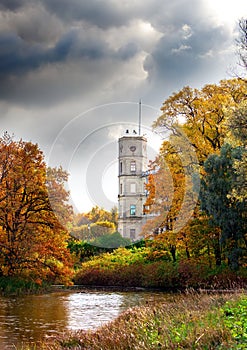 Russia,Gatchina, bright autumn tree in park near a palace.Cityscape