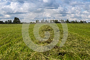 Russia, Leningrad Region - June, 2019: Powerful tractor brand JOHN DEERE and brand Krone rotary rakes at the exhibition