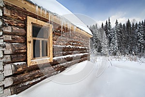 Russia log house in winter, with fir trees