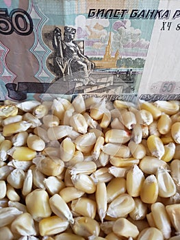 Russia, maize producing country, dry corn grains and russian banknote of fifty rubles