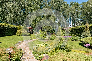 Russia, Moscow- July 06, 2019: green coniferous garden, spruce fir-tree plants by the country house. beautiful landscaping