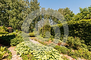 Russia, Moscow- July 06, 2019: green coniferous garden, spruce fir-tree plants by the country house. beautiful landscaping