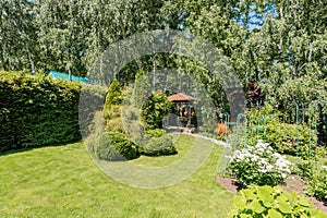 Russia, Moscow- July 06, 2019: green coniferous garden, spruce fir-tree plants by the country house. beautiful landscaping