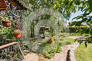 Russia, Moscow- July 06, 2019: green coniferous garden, spruce fir-tree plants by the country house. beautiful landscaping