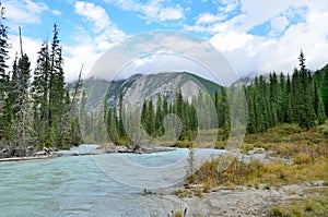 Russia, mountain Altai. The river Shavla in summer photo