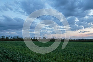 The movement of the thunderclouds over the fields of winter wheat in early spring in the vast steppes of the Don.