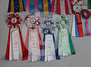 awards for the winners of the exhibition colored rosettes with a diploma assessment for a dog