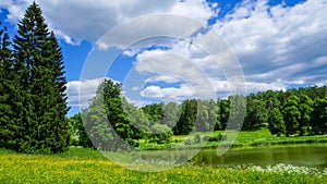 Russia. Pavlovsk Park in early June 2016 . A natural landscape.