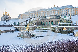 Rossiya Bol`shoj Petergofskij dvorec zimoj obshchij vid photo