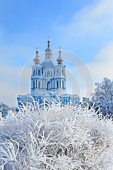 Russia. Saint-Petersburg. Smolny Cathedral in winter. Snow is falling