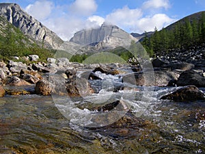 Russia Siberia Buryatiya the Barguzinsky taiga of the Hill the World the Nature the Landscape