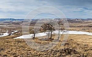 Russia Southern Ural mountains Uralic steppe. Spring in the southern Urals steppe