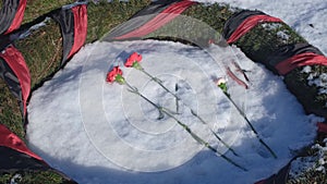 Russia, St. Petersburg, February 2019: Piskaryovskoye Memorial Cemetery. Fresh flowers on the grave.
