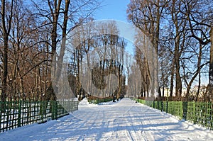 Russia, St. Petersburg, Summer garden in winter