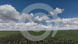 Russia, timelapse. The movement of clouds over the fields of winter wheat in early spring in the vast steppes of the Don.