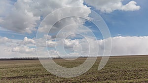 Russia, timelapse. The movement of clouds over the fields of winter wheat in early spring in the vast steppes of the Don.