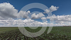 Russia, timelapse. The movement of clouds over the fields of winter wheat in early spring in the vast steppes of the Don.