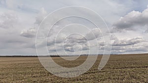 Russia, timelapse. The movement of clouds over the fields of winter wheat in early spring in the vast steppes of the Don.