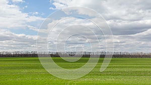 Russia, timelapse. The movement of clouds over the fields of winter wheat in early spring in the vast steppes of the Don.