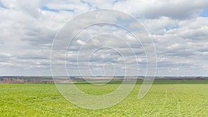 Russia, timelapse. The movement of clouds over the fields of winter wheat in early spring in the vast steppes of the Don.