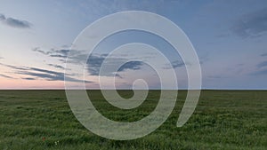 Russia, timelapse. The movement of clouds over the fields of winter wheat in early spring in the vast steppes of the Don.