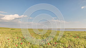 Russia, timelapse. The movement of clouds over the fields of winter wheat in early spring in the vast steppes of the Don.