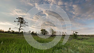 Russia, timelapse. The movement of the thunderclouds over the fields of winter wheat in early spring in the vast steppes of the Do