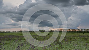 Russia, timelapse. The movement of the thunderclouds over the fields of winter wheat in early spring in the vast steppes of the Do
