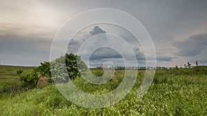 Russia, timelapse. The movement of the thunderclouds over the fields of winter wheat in early spring in the vast steppes of the Do