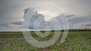 Russia, timelapse. The movement of the thunderclouds over the fields of winter wheat in early spring in the vast steppes of the Do