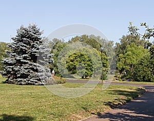 Russia views of the city of Moscow in summer botanical garden tourism