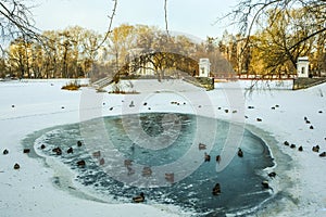 Russia. Yekaterinburg. Kharitonovsky garden in winter .