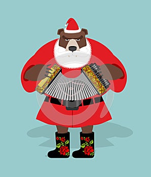 Russian bear in guise of snata Claus. Wild animal in Christmas a